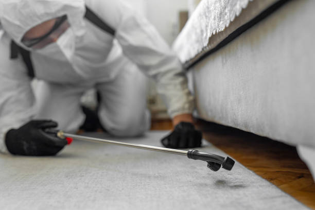 Professional Bed Bug Control technician working in Sterlington, LA