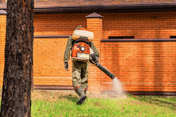 Trusted Rodent Control service in Sterlington, LA - Nex Pest Control